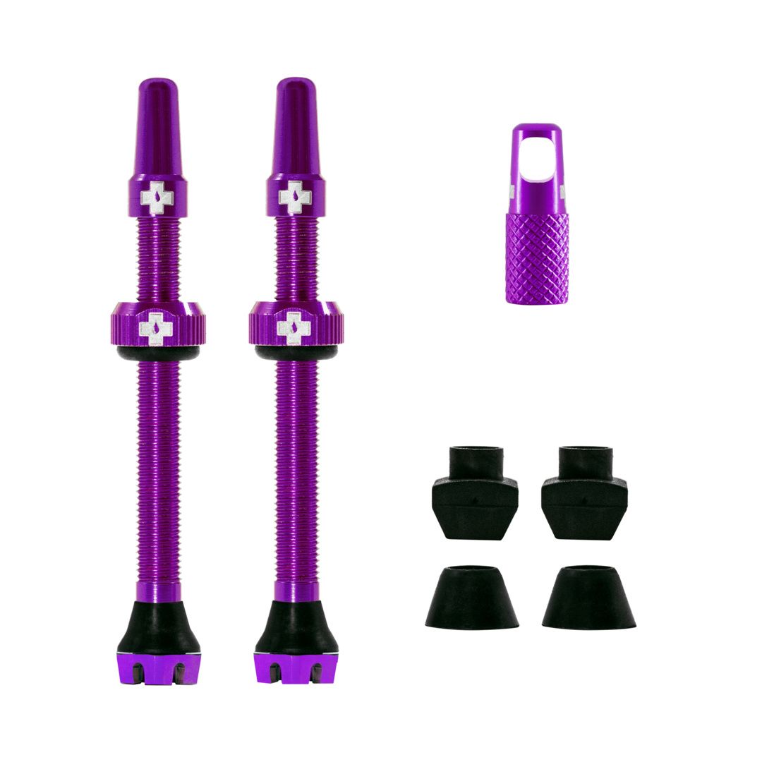 Tubelessventil-Set Tubelessventil-Set