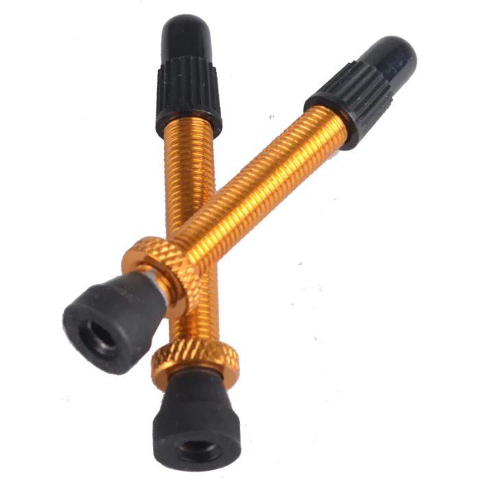 Tubeless Ventil Französisch Alu removeable Paar