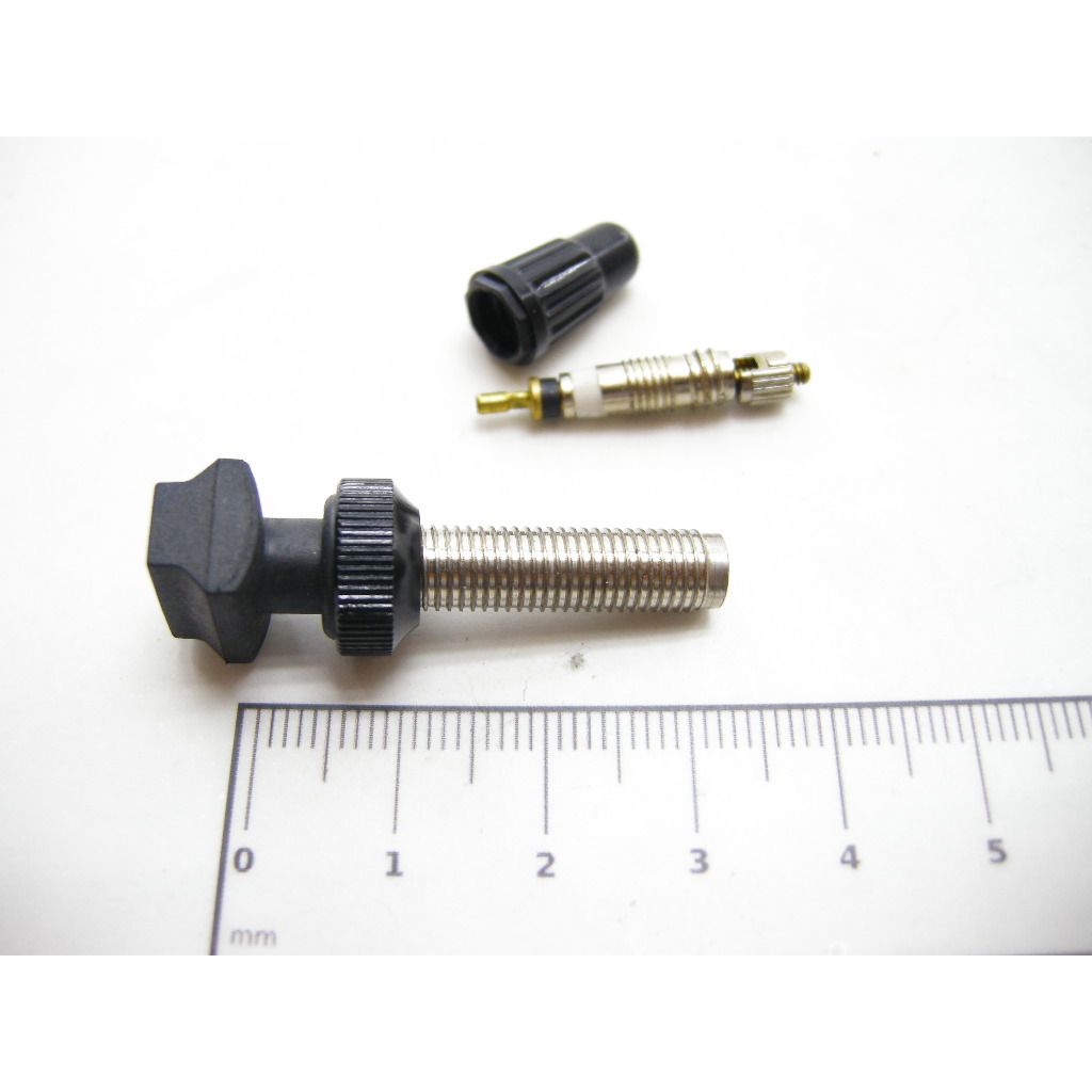 Tubeless Ventil