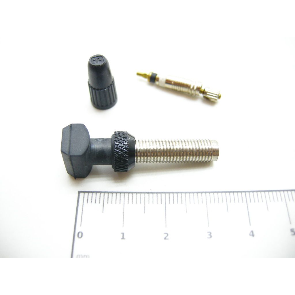 Tubeless Ventil