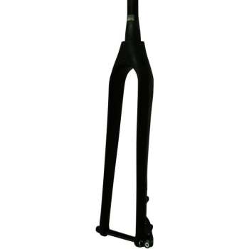 Carbon Gabel E-Bike 45 km/h Disc
