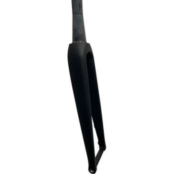 Carbon Gabel Road Disc